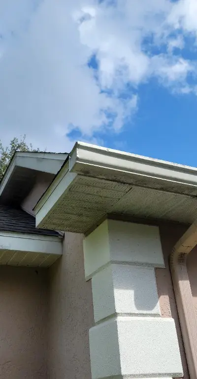 Gutter and roofline cleaning Clermont FL