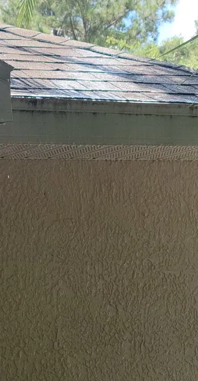 Gutter cleaning shingle roof Central Florida