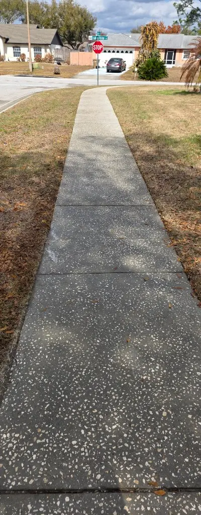 Sidewalk cleaning before Central Florida