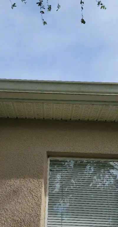 Gutter cleaning results Central Florida