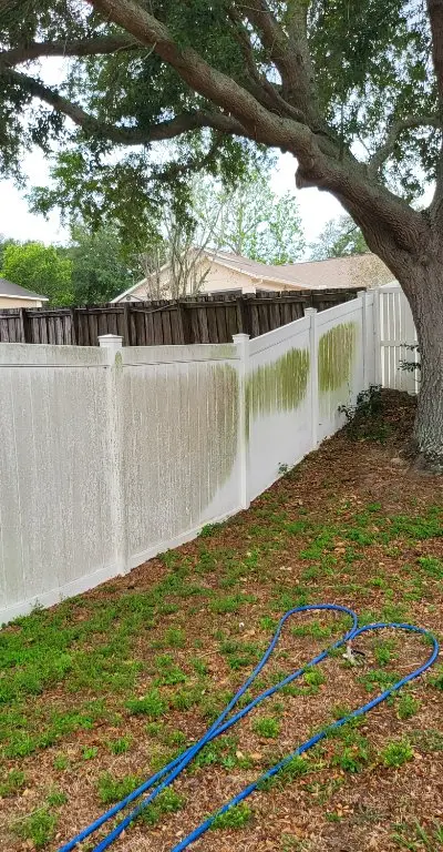 Vinyl fence before cleaning with algae