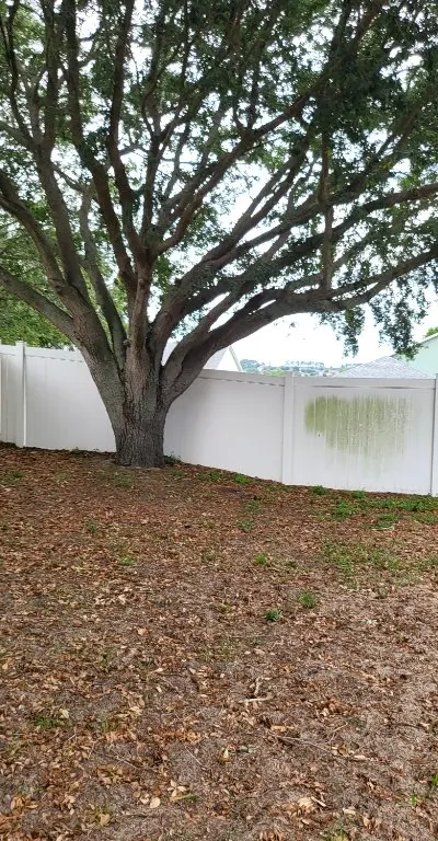 Vinyl fence algae removal before