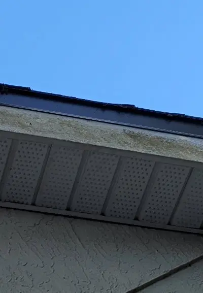 Gutter fascia cleaning before algae