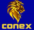 SAFECONEX logo